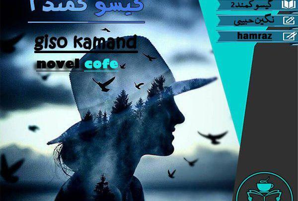 عکس دانیال در رمان گیسو کمند