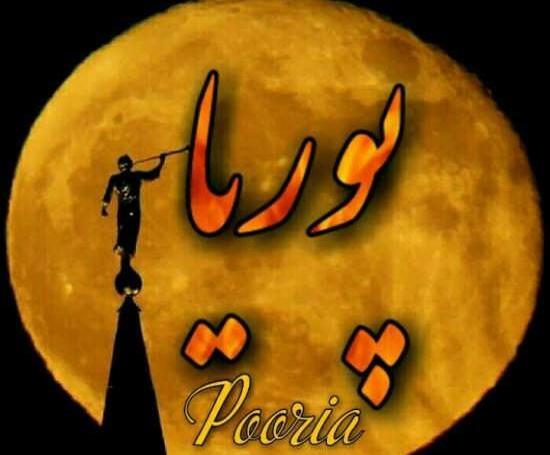 عکس نوشته داداش پوریا