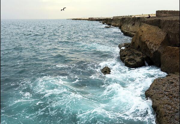 عکس چهار بهار