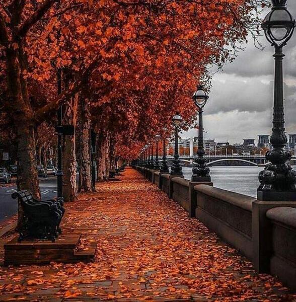 عکس دخترونه برای پروفایل پاییزی