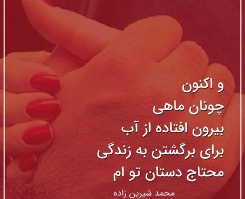 عکس نوشته اشعار محمد شیرین زاده