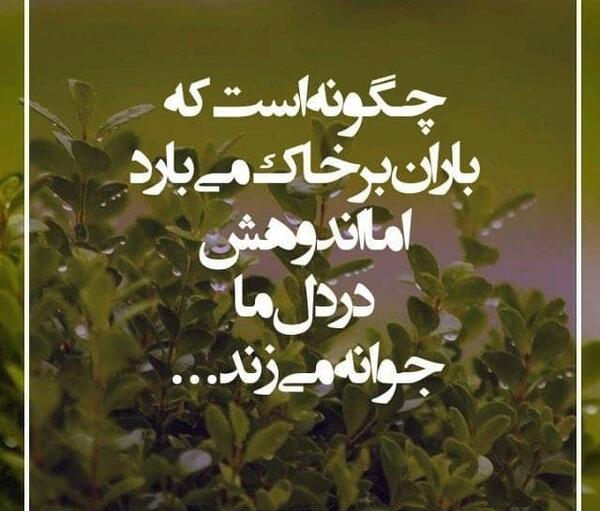عکس نوشته اشعار محمد شیرین زاده