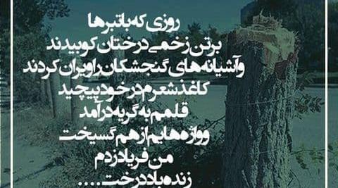 عکس نوشته اشعار محمد شیرین زاده
