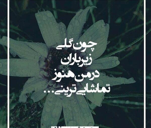 عکس نوشته اشعار محمد شیرین زاده