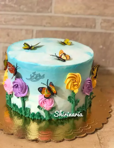 عکس کیک تولد دخترانه پروانه