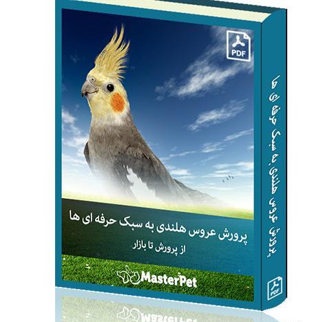 عکس ایده اسم برای عروس هلندی