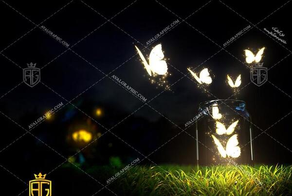 عکس پروانه در شب