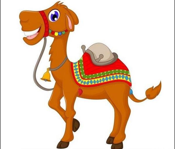 عکس شتر فانتزی