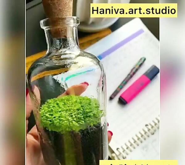 عکس سبزه عید داخل تنگ ماهی
