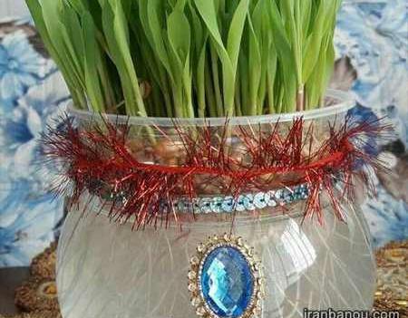 عکس سبزه عید داخل تنگ ماهی