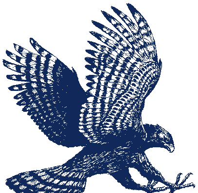 عکس شاهین چنگیزخان مغول