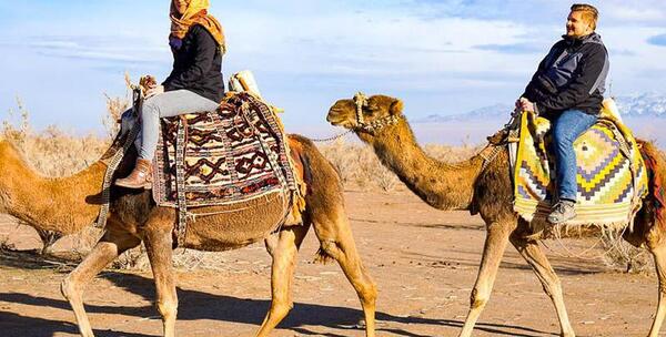عکس شتر سواری