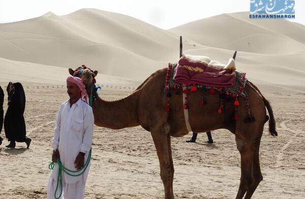 عکس شتر سواری