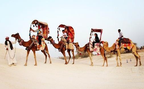 عکس شتر سواری