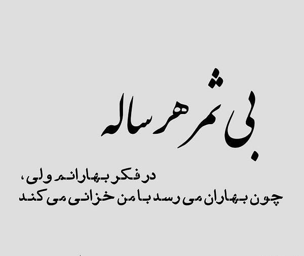 عکس نوشته درخت بی ثمر