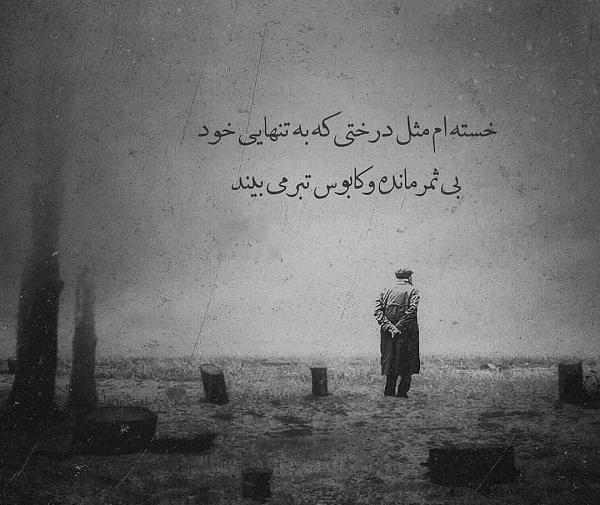 عکس نوشته درخت بی ثمر