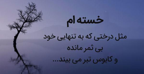 عکس نوشته درخت بی ثمر