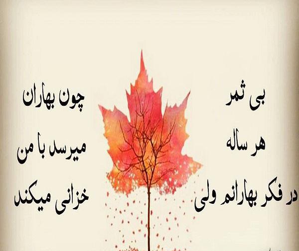 عکس نوشته درخت بی ثمر