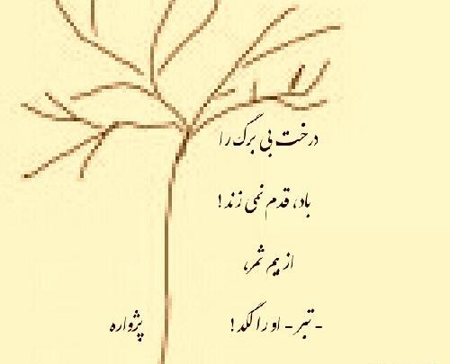 عکس نوشته درخت بی ثمر