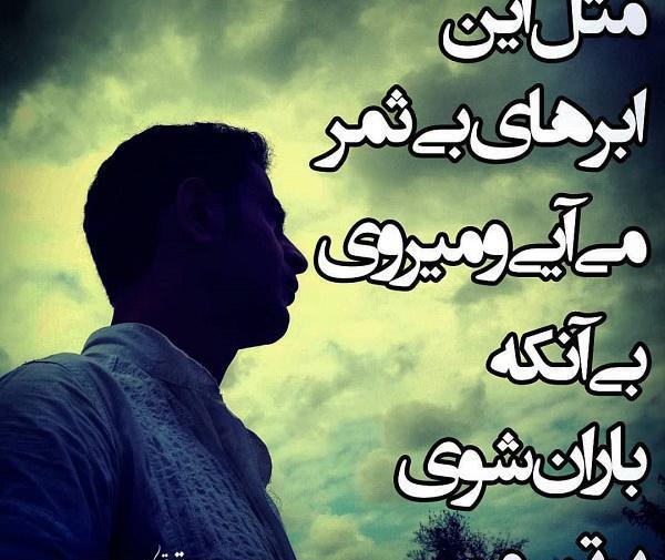 عکس نوشته درخت بی ثمر