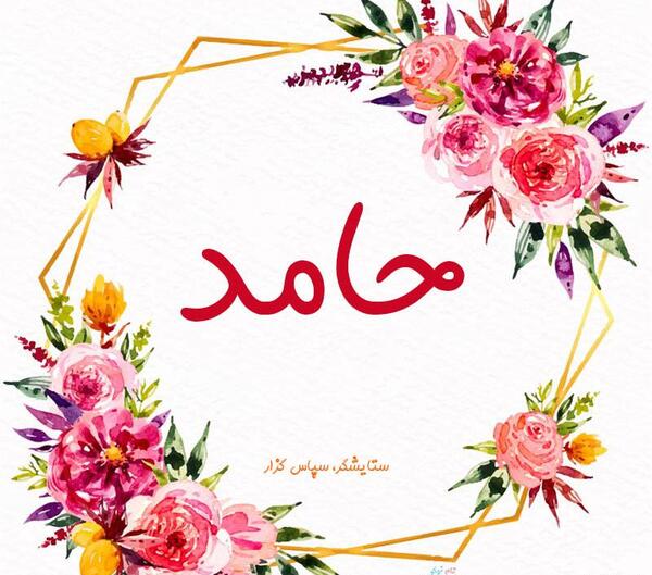 عکس گل حامد