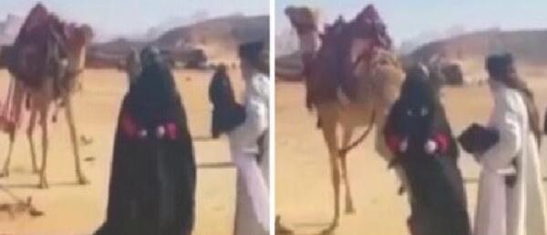 عکس فیلم شتر