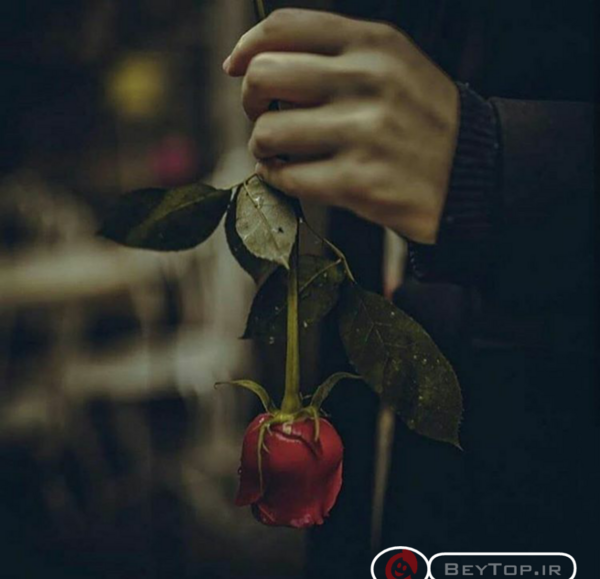 عکس غمگین گل
