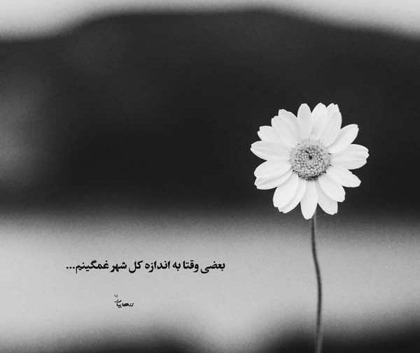 عکس غمگین گل