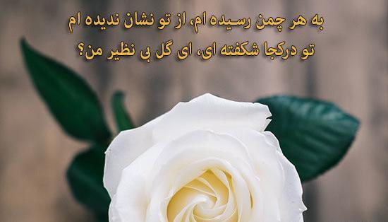 عکس نوشته هدیه گل