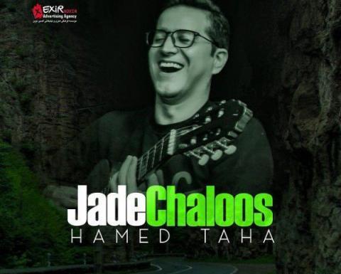 عکس حامد طاها