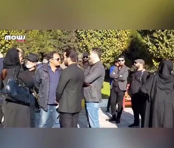 عکس شقایق راموز