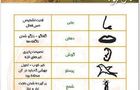 عکس چشم در فال قهوه