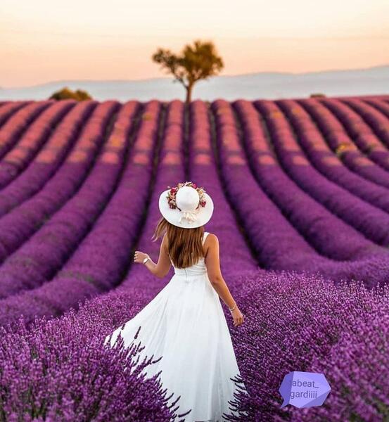 عکس زیبا پروفایل شاد