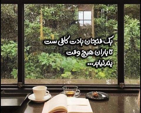 عکس نوشته دوست دارم صدیقه