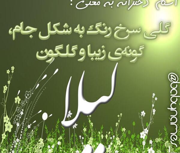 عکس نوشته لیلا دوست دارم