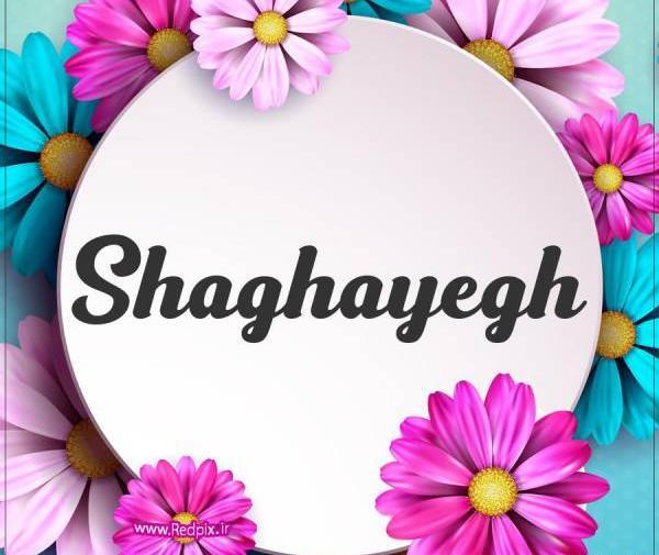 عکس نوشته انگلیسی شقایق
