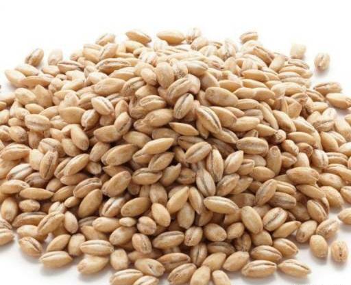 عکس جو دوسر پوست کنده