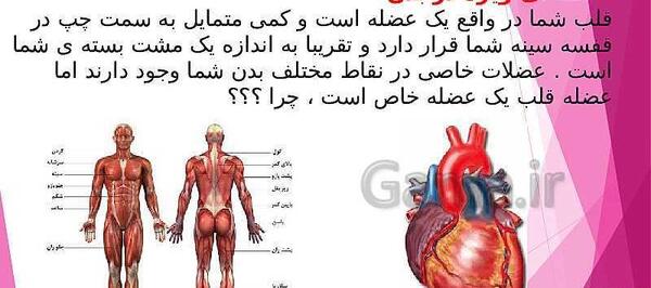 عکس قلب انسان علوم هفتم