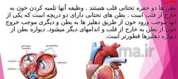 عکس قلب انسان علوم هفتم