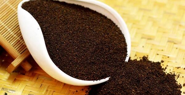عکس چای کله مورچه ای