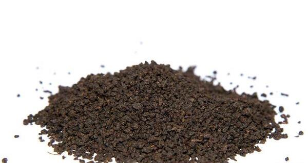 عکس چای کله مورچه ای