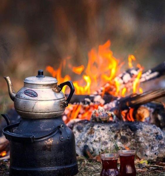 عکس پروفایل چای در طبیعت