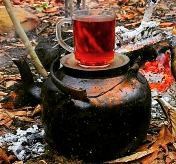 عکس پروفایل چای در طبیعت