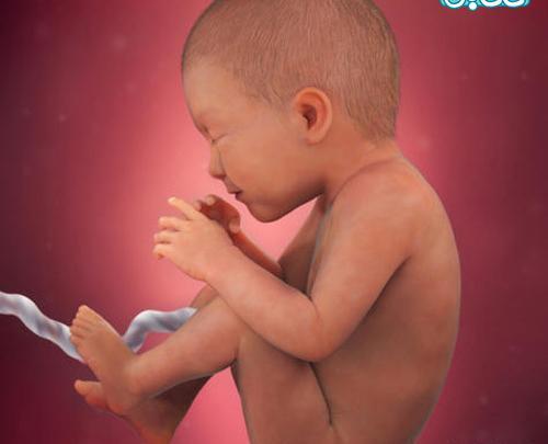 عکس نوزاد هشت ماهه