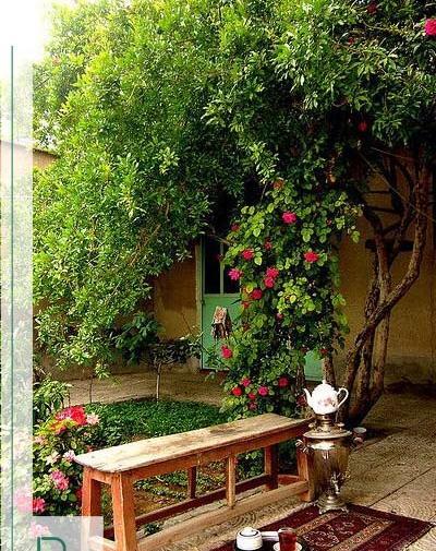 عکس از چای در طبیعت