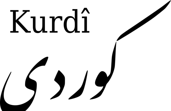 عکس دل شکسته کوردی