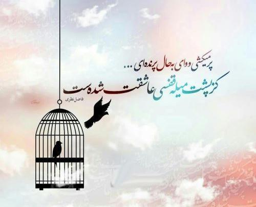 عکس نوشته اشعار حمید مصدق