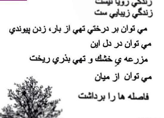 عکس نوشته اشعار حمید مصدق