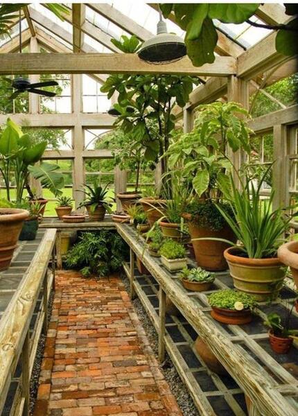 عکس ایده های جالب برای گلخانه