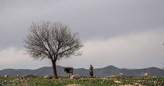 عکس بهاری مریوان